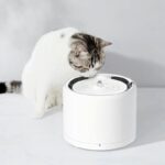 PETKIT Eversweet 3 PRO Smart Kätzchen Trinkbrunnen Edelstahl