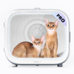 PETKIT AirSalon Max Pro Hundetrockner 360 Grad leise UVC App Steuerung