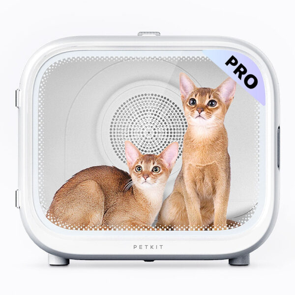 PETKIT AirSalon Max Pro Hundetrockner 360 Grad leise UVC App Steuerung